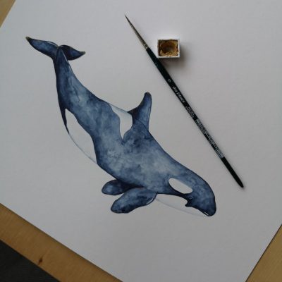 Aquarelle Orca